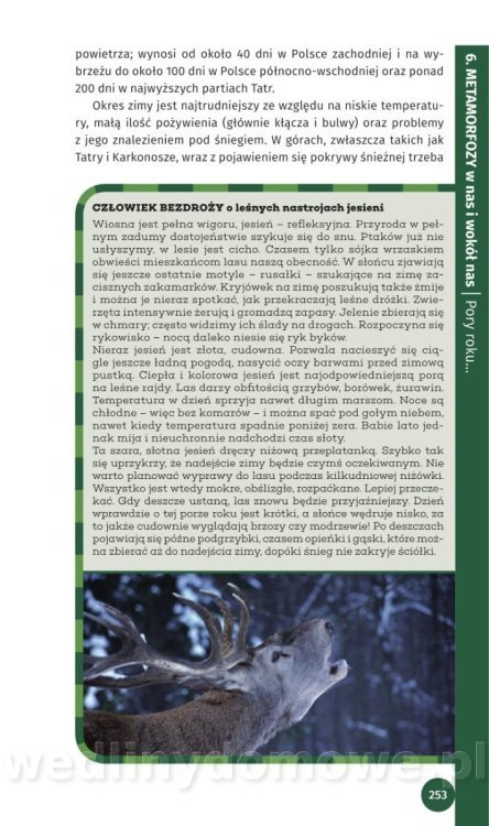 Survival Leśny_255.jpg