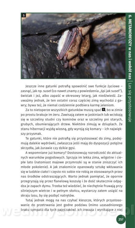 Survival Leśny_259.jpg