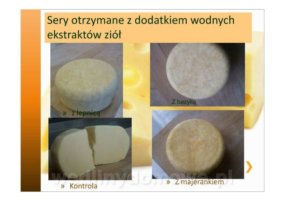 Właściwości fizykochemiczne ekologicznych serów zagrodowych_14.jpg