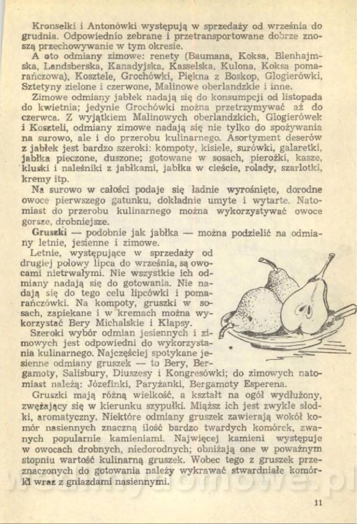 Z. Zawistowska - Desery_013.jpg
