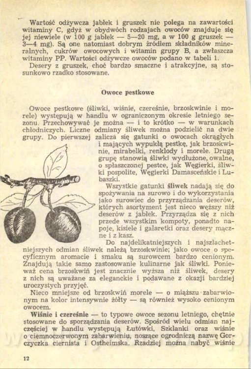 Z. Zawistowska - Desery_014.jpg