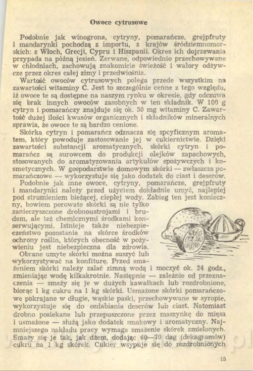 Z. Zawistowska - Desery_017.jpg