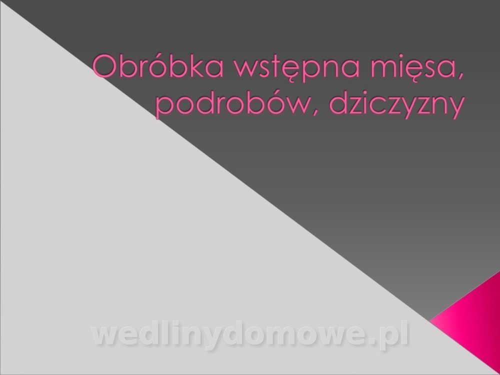 2TŻ-TechGastTo-19-marzec.doc_01.jpg