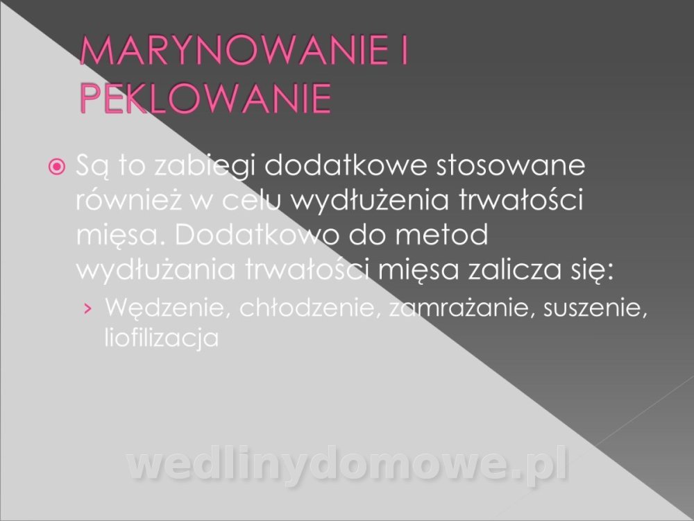 2TŻ-TechGastTo-19-marzec.doc_12.jpg