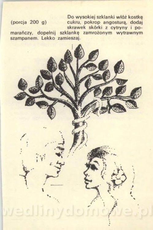 Cocktaile i napoje mieszane_039.jpg