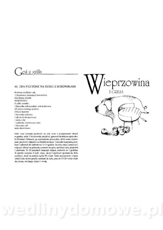 Grill. Smacznie i wesoło_22.jpg