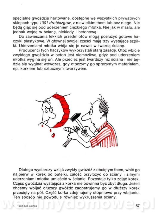 Gumowska I. - Dom bez tajemnic_056.jpg