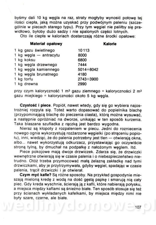 Gumowska I. - Dom bez tajemnic_106.jpg