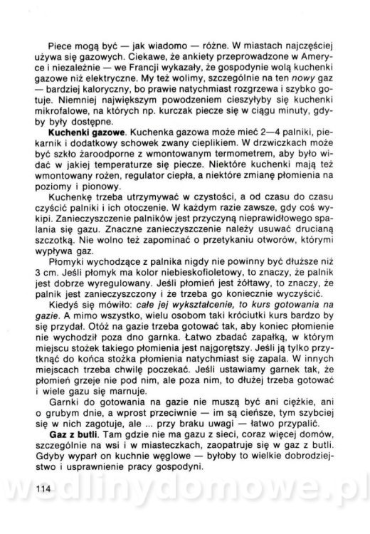 Gumowska I. - Dom bez tajemnic_113.jpg