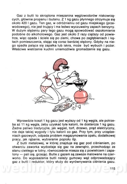 Gumowska I. - Dom bez tajemnic_114.jpg