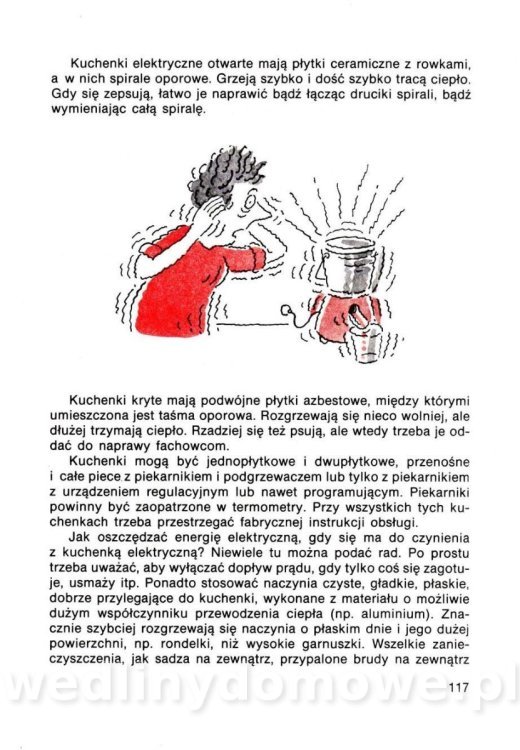Gumowska I. - Dom bez tajemnic_116.jpg
