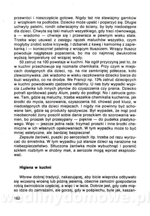 Gumowska I. - Dom bez tajemnic_161.jpg