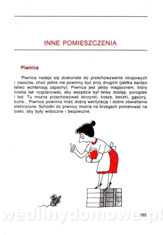 Gumowska I. - Dom bez tajemnic_164.jpg