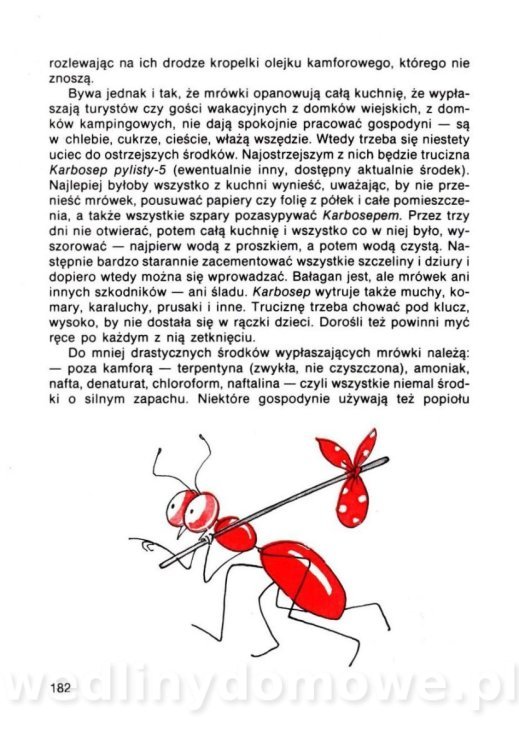 Gumowska I. - Dom bez tajemnic_181.jpg