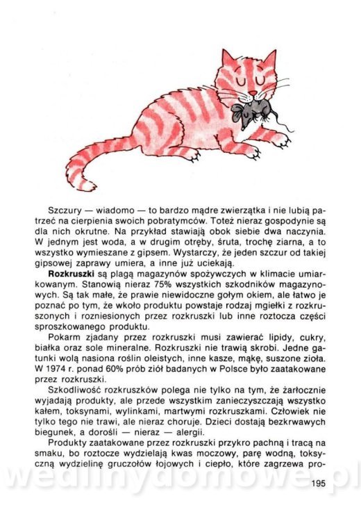 Gumowska I. - Dom bez tajemnic_194.jpg