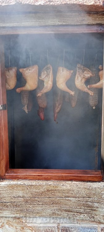 IMG20251008144400.jpg
