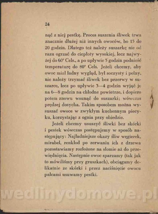 Jak-przerabiac-owoce-bez-cukru_26.jpg