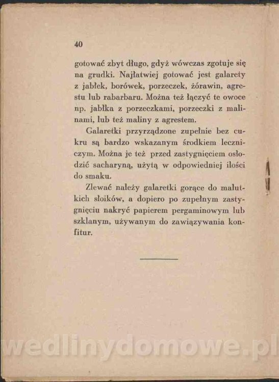 Jak-przerabiac-owoce-bez-cukru_42.jpg