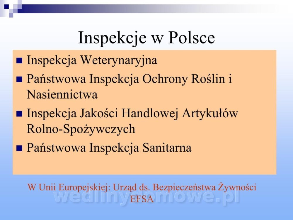 Jakość i bezpieczństwo przetw mięsnych i mięsa_022.jpg