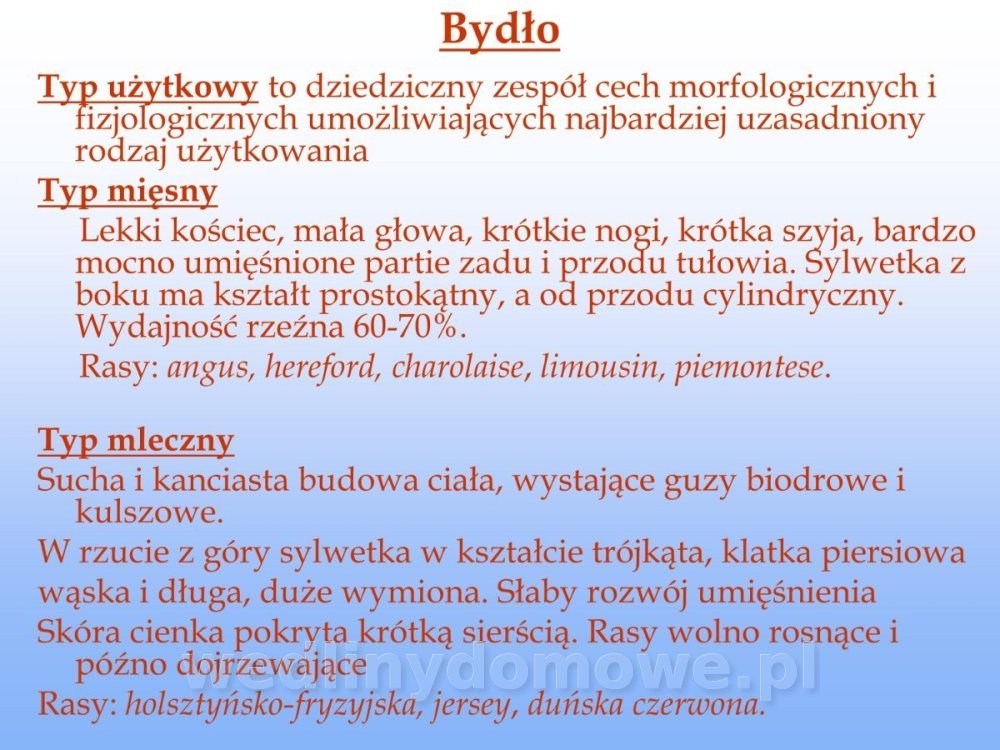 Jakość i bezpieczństwo przetw mięsnych i mięsa_027.jpg