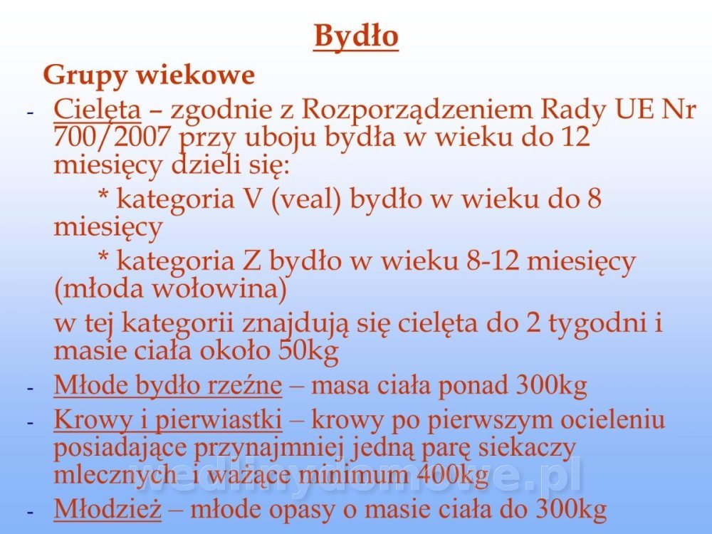 Jakość i bezpieczństwo przetw mięsnych i mięsa_039.jpg
