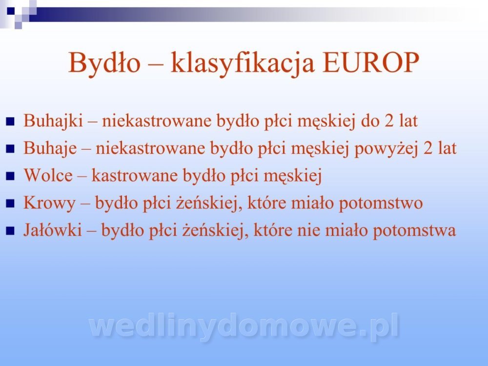 Jakość i bezpieczństwo przetw mięsnych i mięsa_040.jpg