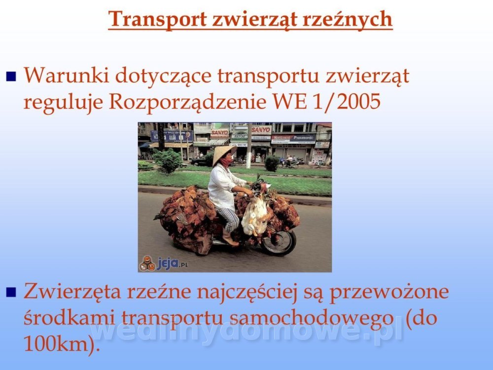 Jakość i bezpieczństwo przetw mięsnych i mięsa_048.jpg