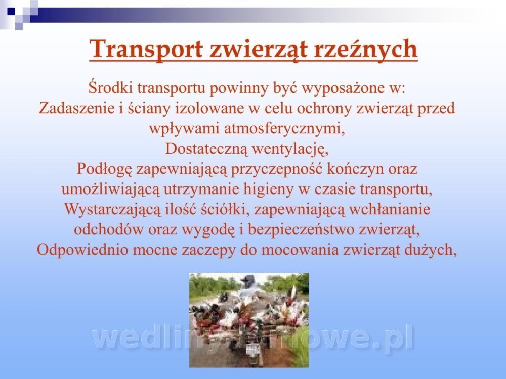 Jakość i bezpieczństwo przetw mięsnych i mięsa_049.jpg