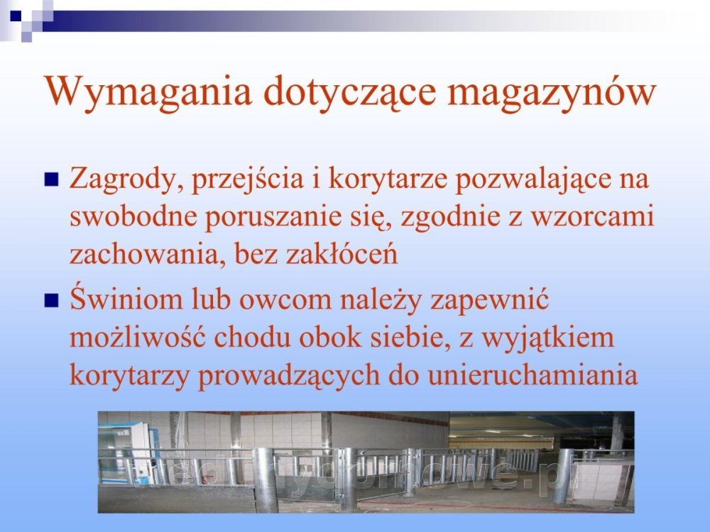 Jakość i bezpieczństwo przetw mięsnych i mięsa_056.jpg