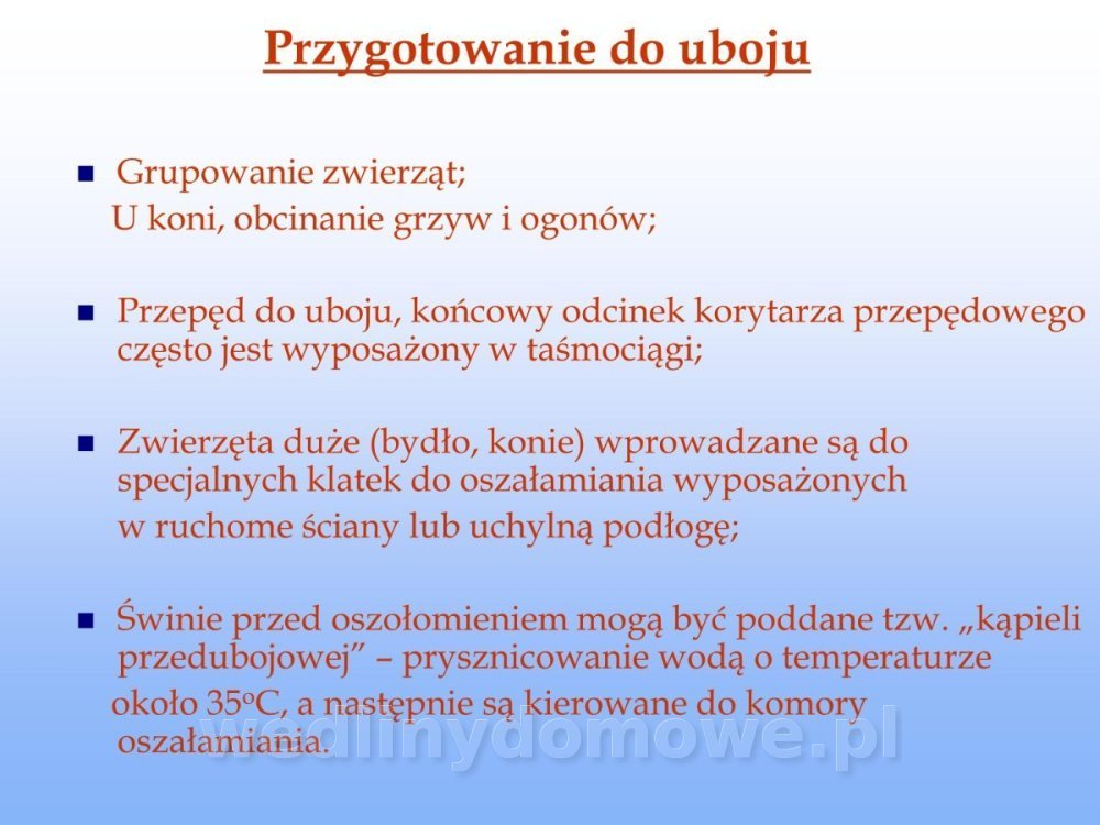 Jakość i bezpieczństwo przetw mięsnych i mięsa_064.jpg