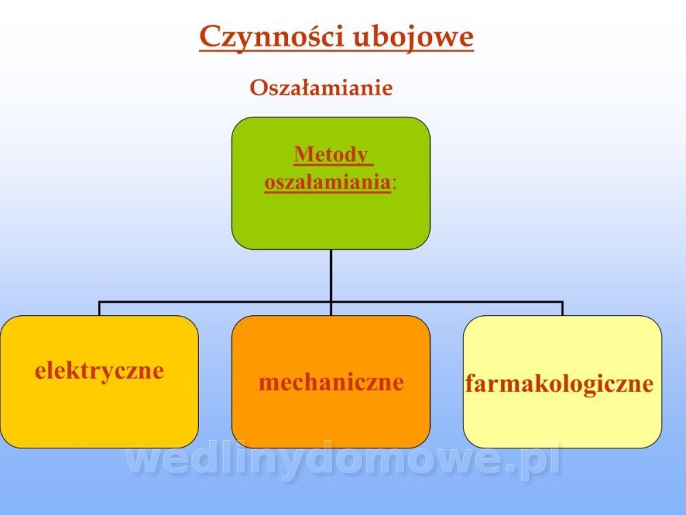 Jakość i bezpieczństwo przetw mięsnych i mięsa_067.jpg