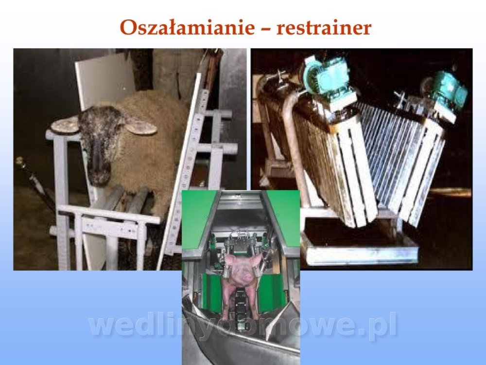 Jakość i bezpieczństwo przetw mięsnych i mięsa_071.jpg