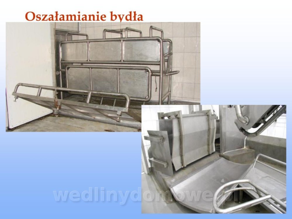 Jakość i bezpieczństwo przetw mięsnych i mięsa_072.jpg