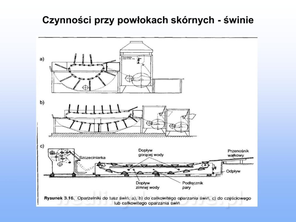 Jakość i bezpieczństwo przetw mięsnych i mięsa_078.jpg