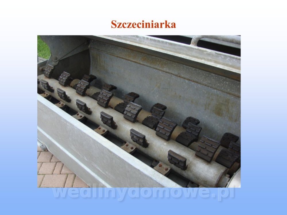 Jakość i bezpieczństwo przetw mięsnych i mięsa_079.jpg