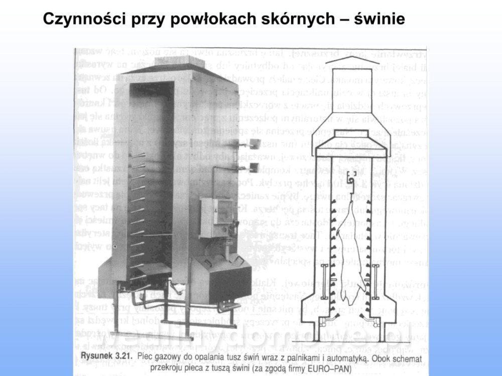 Jakość i bezpieczństwo przetw mięsnych i mięsa_083.jpg
