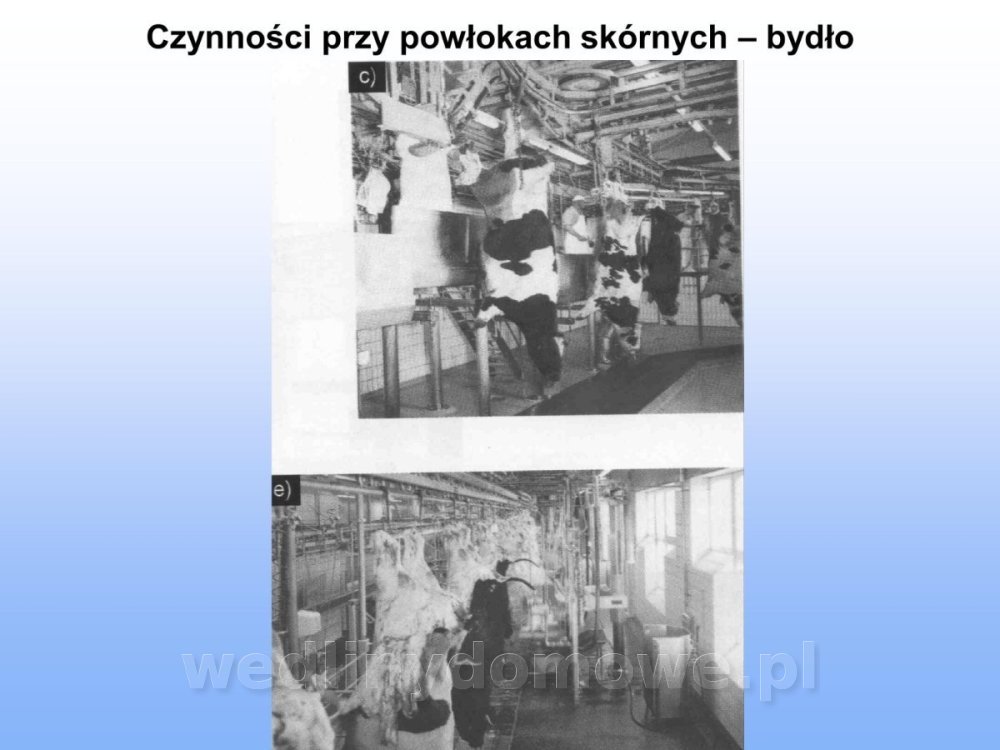 Jakość i bezpieczństwo przetw mięsnych i mięsa_086.jpg