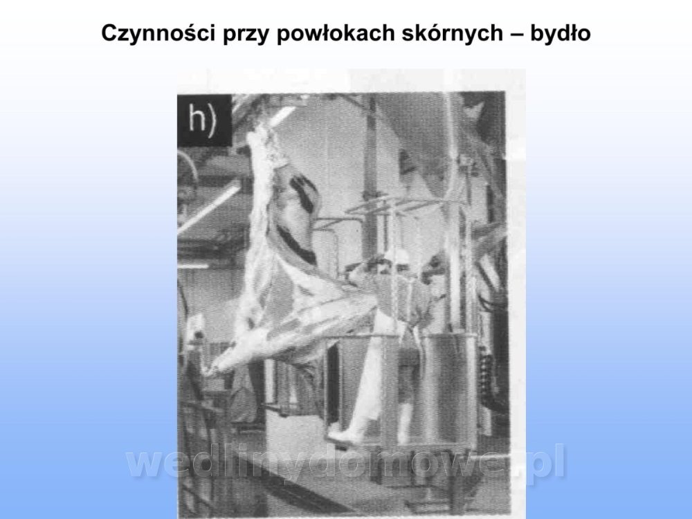 Jakość i bezpieczństwo przetw mięsnych i mięsa_087.jpg