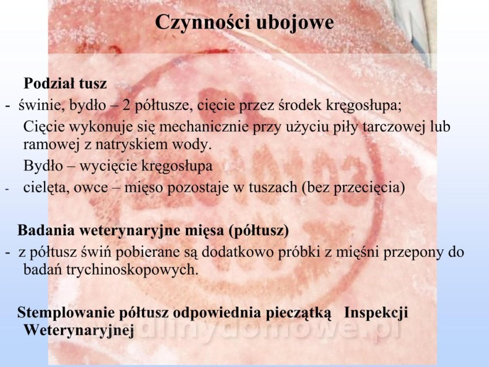 Jakość i bezpieczństwo przetw mięsnych i mięsa_089.jpg