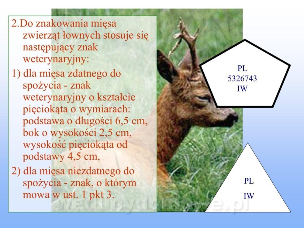 Jakość i bezpieczństwo przetw mięsnych i mięsa_094.jpg