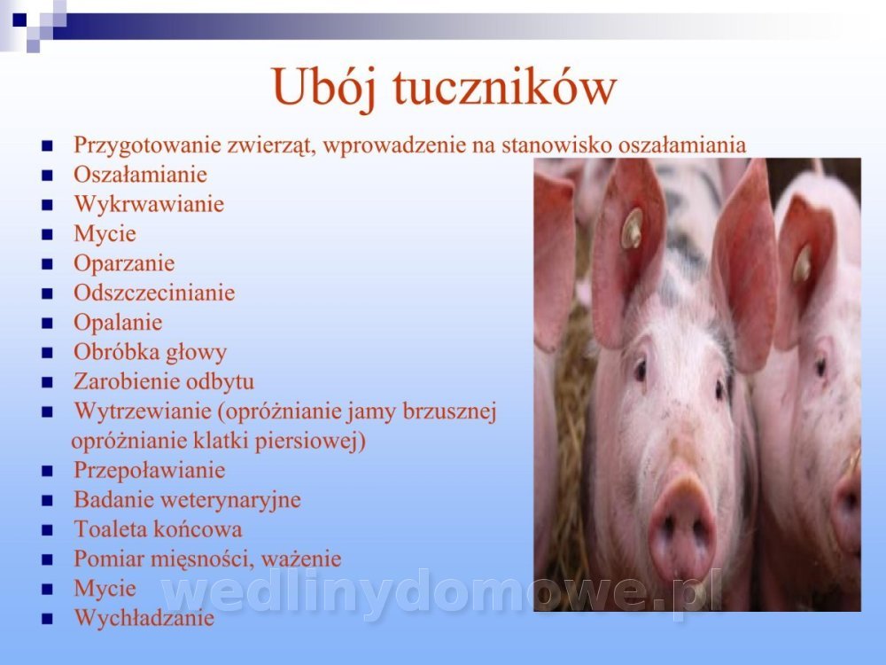 Jakość i bezpieczństwo przetw mięsnych i mięsa_096.jpg