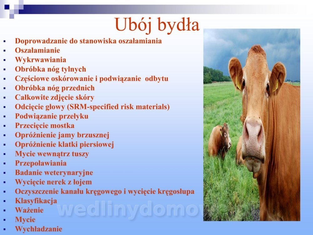 Jakość i bezpieczństwo przetw mięsnych i mięsa_097.jpg