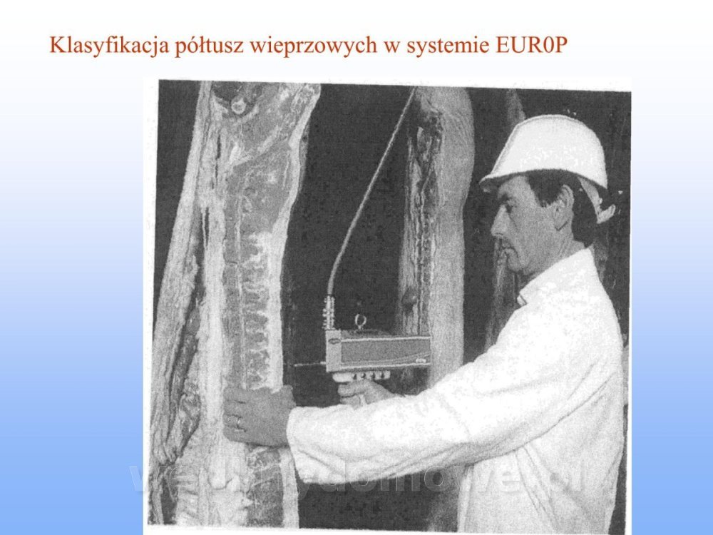 Jakość i bezpieczństwo przetw mięsnych i mięsa_101.jpg
