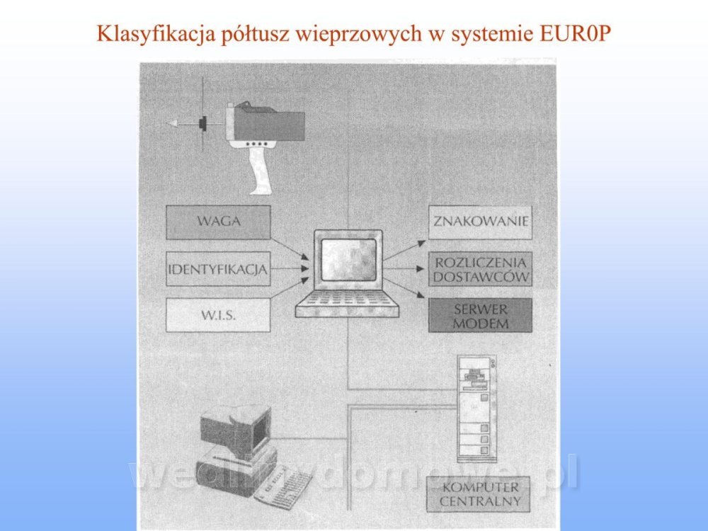 Jakość i bezpieczństwo przetw mięsnych i mięsa_102.jpg