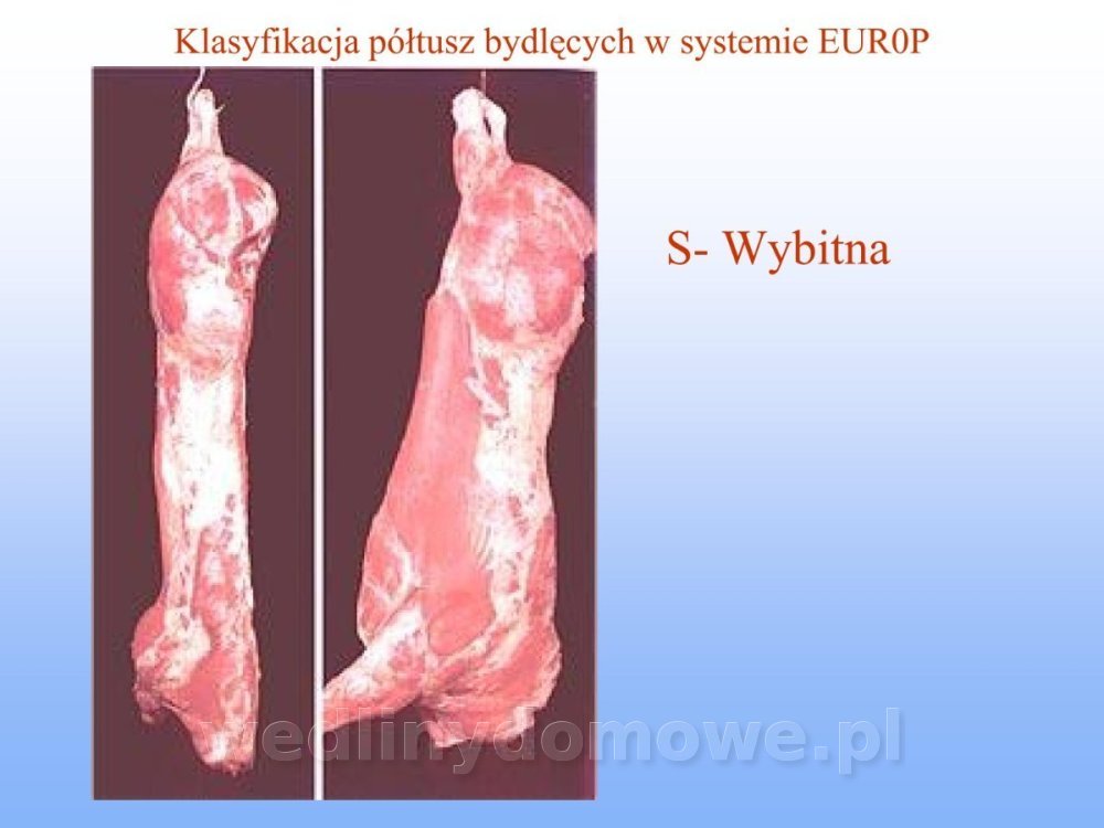 Jakość i bezpieczństwo przetw mięsnych i mięsa_104.jpg