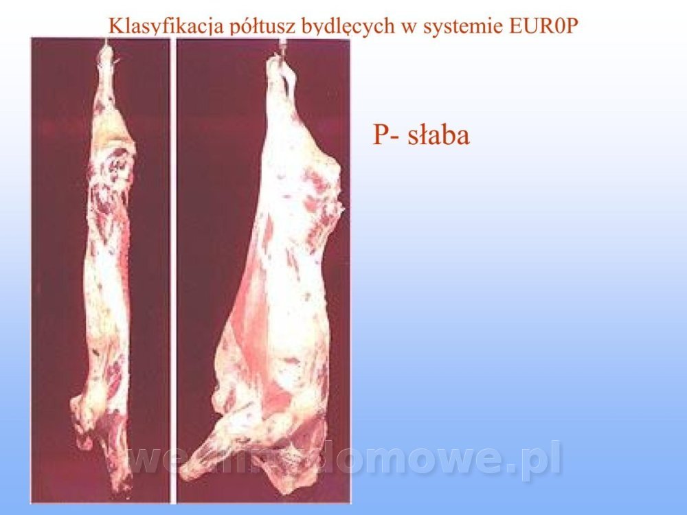 Jakość i bezpieczństwo przetw mięsnych i mięsa_105.jpg