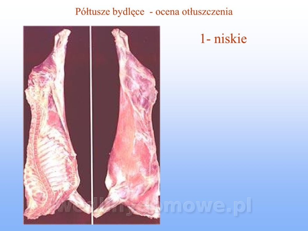 Jakość i bezpieczństwo przetw mięsnych i mięsa_106.jpg