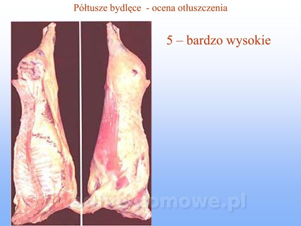 Jakość i bezpieczństwo przetw mięsnych i mięsa_107.jpg