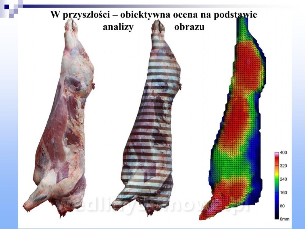 Jakość i bezpieczństwo przetw mięsnych i mięsa_108.jpg
