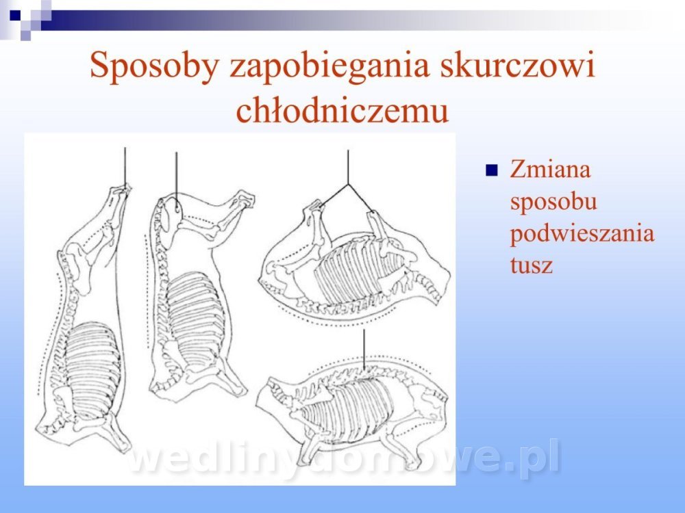Jakość i bezpieczństwo przetw mięsnych i mięsa_115.jpg